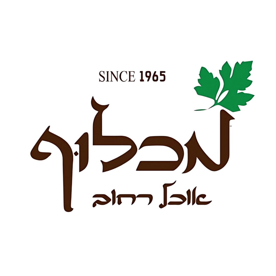 יניר י.